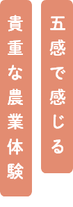 五感で感じる貴重な農業体験